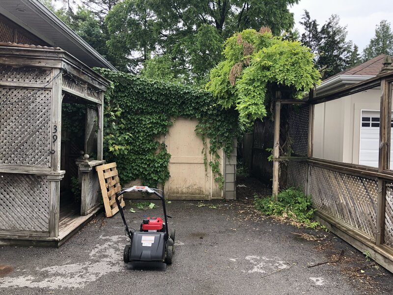 Professional kitchen cleaning