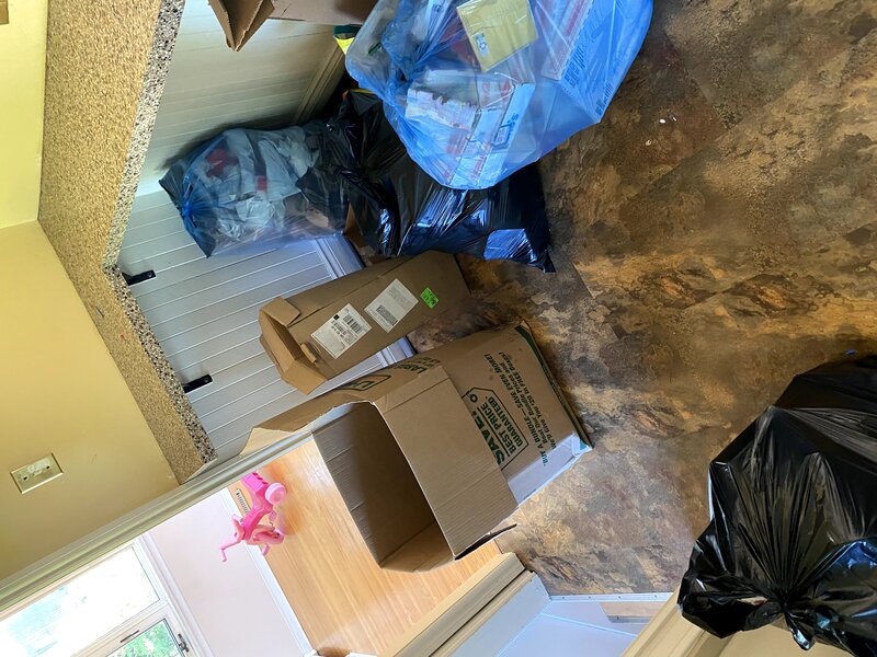 Living room cleaning