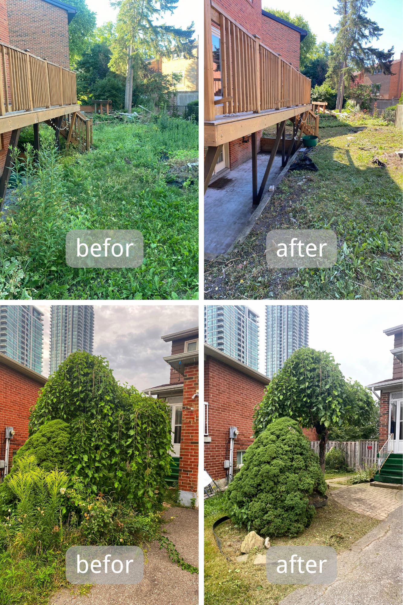 Lawn clearing before and after