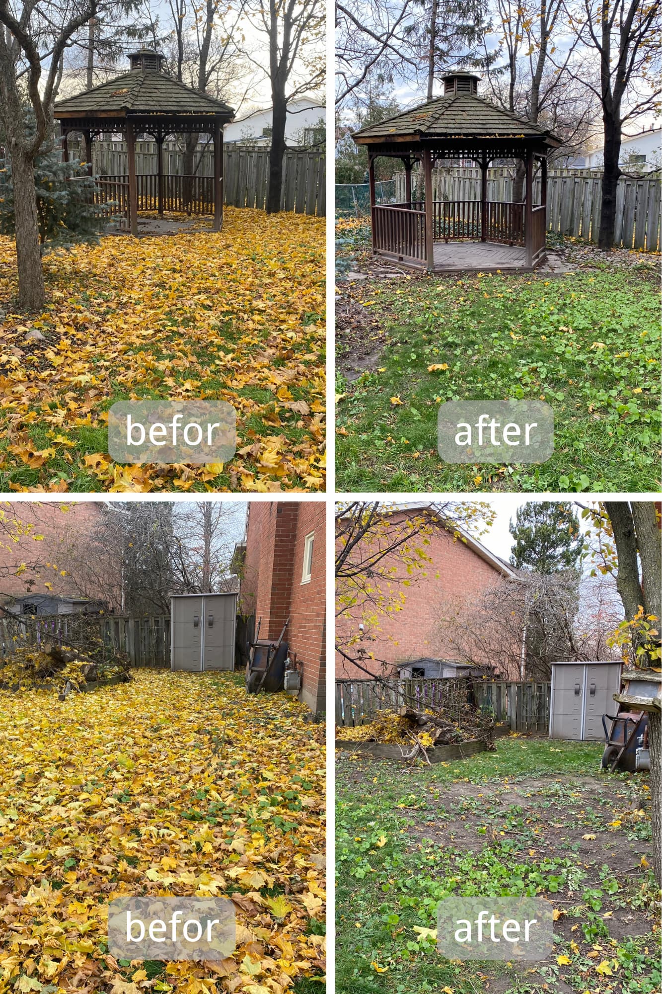 Yard and property clearing before and after